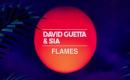 David Guetta & Sia - Flames