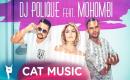 DJ Polique feat. Mohombi - Turn me on