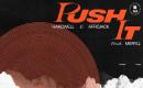 Hardwell & AFROJACK feat. MERYLL - Push It