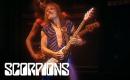 Scorpions - Animal Magnetism (Live in Houston, 27th June 1980)
